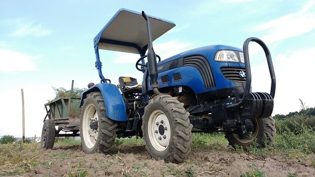 Eastern Cape Government Allocates R75 Million to Boost Black Commercial Farmers