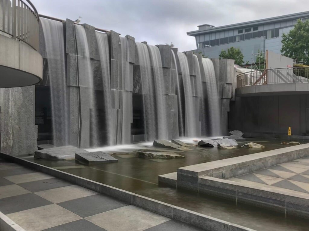 Volunteer Opportunities In The Bay Area For MLK's Weekend Of Service