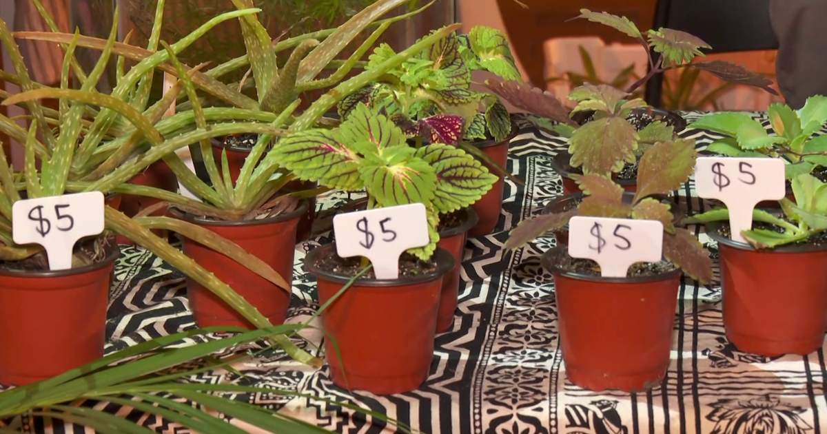 Fort Myers young entrepreneurs showcase talents at DTFM Art Walk | Lee County