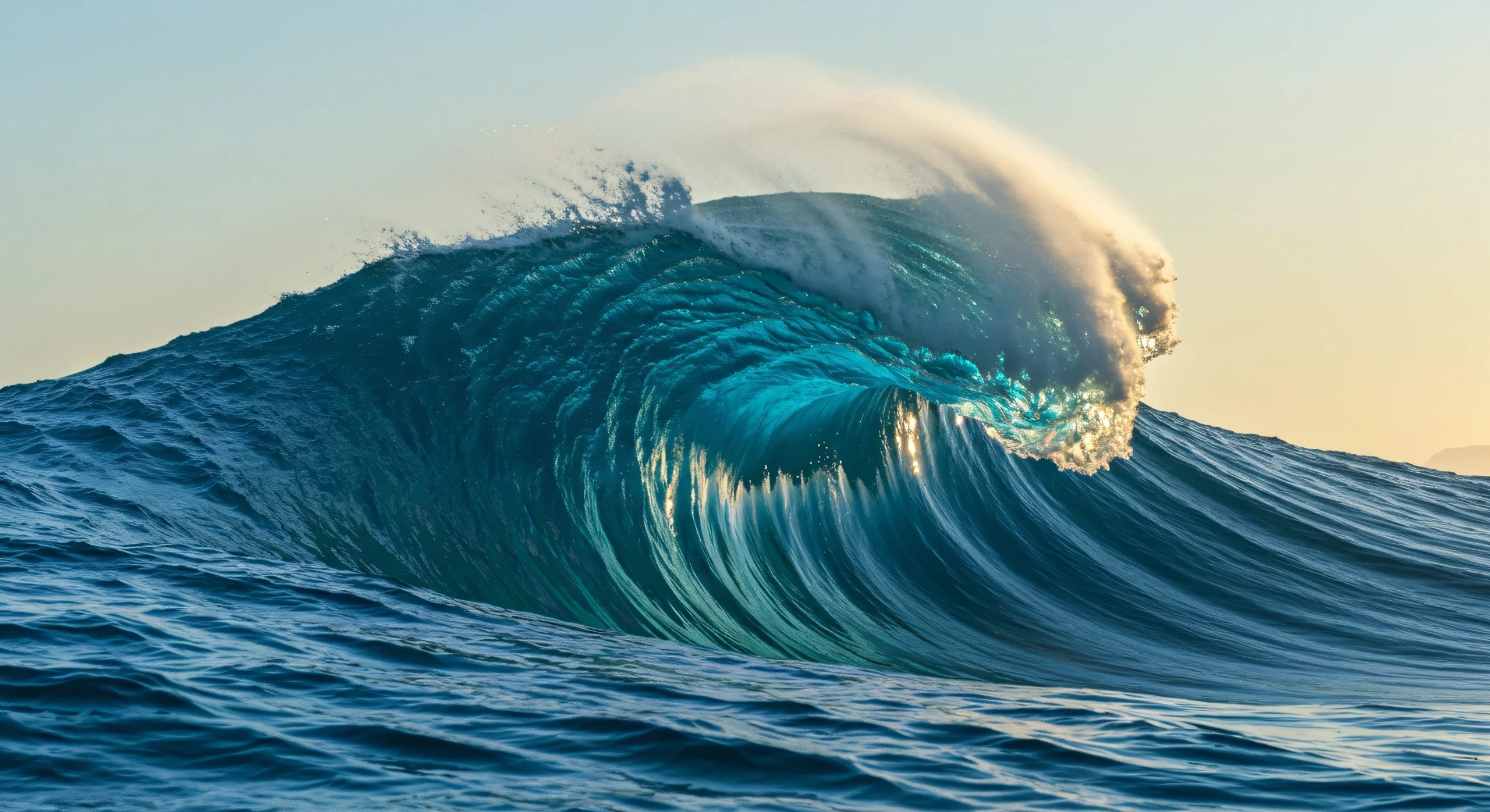 Less-well-known Black donors to watch in 2026