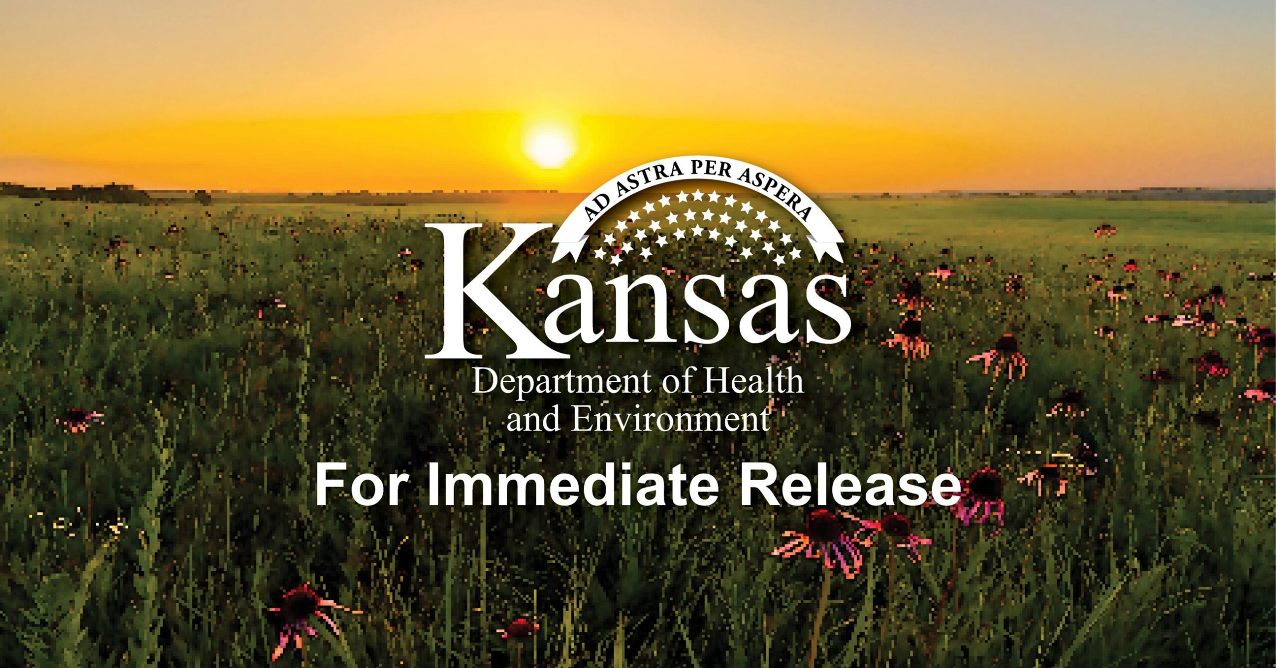 KDHE, Governor’s Council on Wellness Recognize 2026 Kansas Health Champions • KDHE, KS