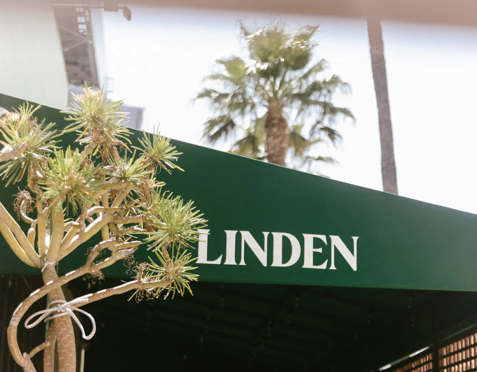 At &rsquo;LINDEN&rsquo; Restaurant, Cuisine And Culture Comes First