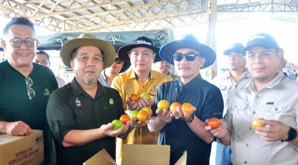 Local agricultural entrepreneurs help reduce food imports – Jamawi
