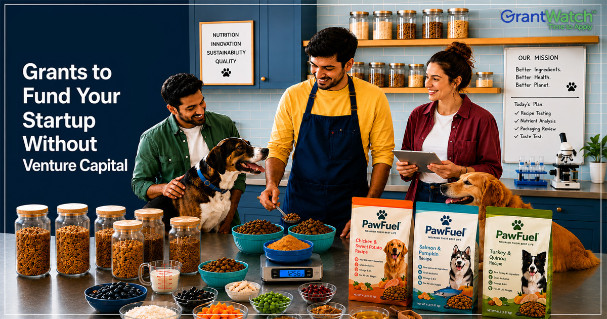 7 Grants to Fund Your Startup Without Venture Capital
