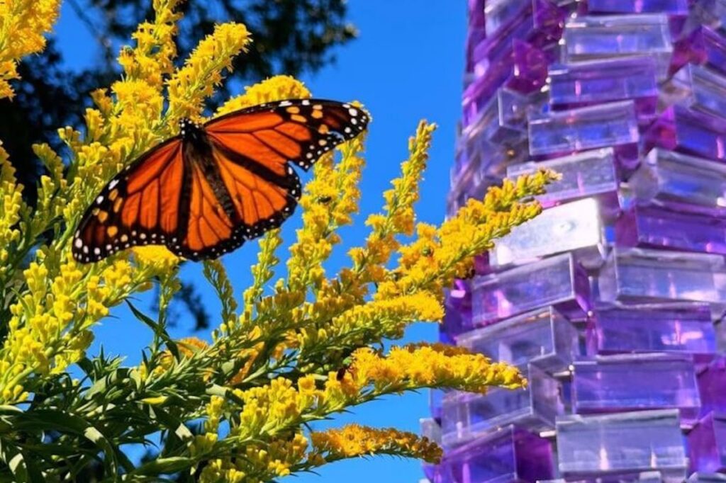 Week-in-Review July 6-10: Incubators, Hotels, Prizes and More