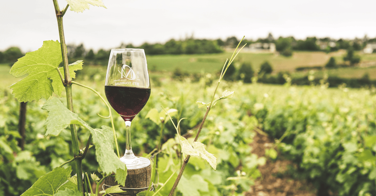 Black-Owned Wineries